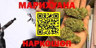 дживик Камышлов